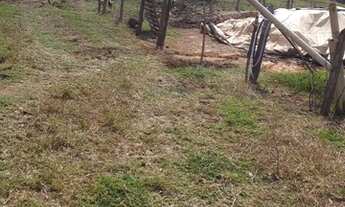 Imagem 3: Sítio com 3 dormitórios à venda, 92000 m² por R$ 850.000 - Zona Rural - Ouro Fino/MG