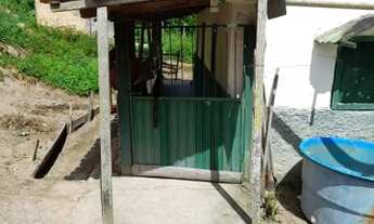 Imagem 4: Sítio a venda em p.paraiso Mg