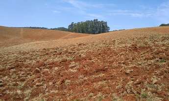 Imagem 5: RIBEIRÃO BRANCO - RURAL - Zona Rural