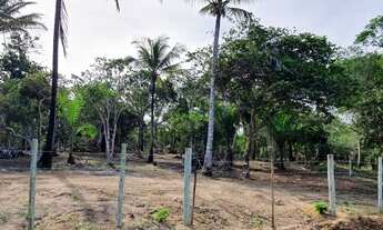 Imagem 2: Terreno para Venda em Porto Seguro, Caraiva