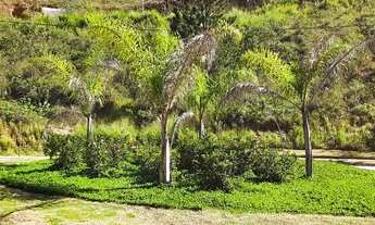 Imagem: Lotes em área superior a 1.000m2 a 5km