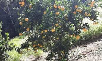 Imagem 2: Vendo chácara em araucária