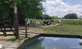 Imagem: R$8 milhões fazenda desativada com 216