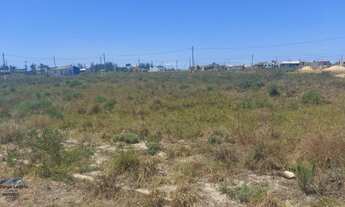 Imagem 6: Passo de Torres - Terreno Padrão - Tapera