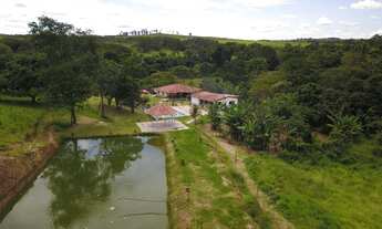 Imagem 3: Fazenda Girassol / Cocalzinho GO - 166Hec