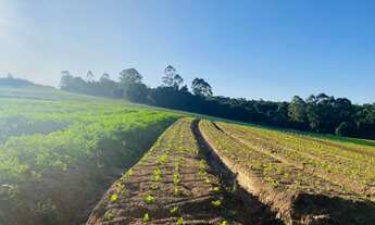 Imagem 2: Terreno em Ibiúna com Fácil Acesso a Capital de SP
