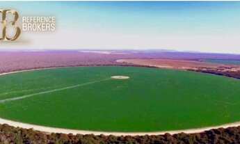 Imagem 2: Fazenda dupla aptidão no cerrado baiano AT 5.800 hectares