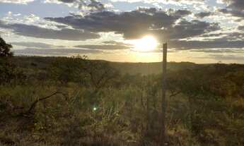 Imagem 7: Vendo lote 5000m² santo Antonio do Descoberto