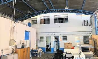 Imagem 5: GALPÃO - BUTANTÃ - SP