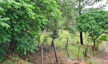 Imagem 3: Chácara - Chácara Santa Margarida - Campinas