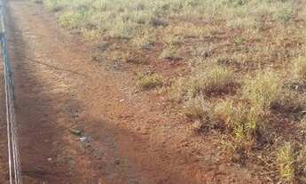 Imagem: Vendo terreno 1000 metros zona rural Pitangui
