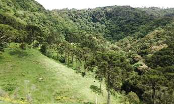 Imagem 4: Belíssimas Chácaras com 2,00 ha Bom Retiro