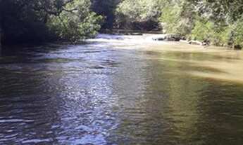 Imagem: Excelente sitio no Rincão do Andrade