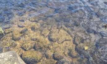 Imagem 4: Lote/Terrenos em região privilegiada de São Gonçalo do Pará/MG