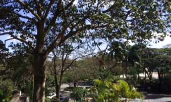 Imagem 7: APARTAMENTO - ALTO DE PINHEIROS - SP