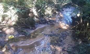 Imagem 5: Sitio maravilhoso