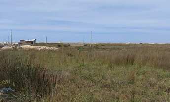 Imagem 3: Passo de Torres - Terreno Padrão - Tapera