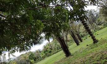 Imagem 2: Vendo esse lindo sitio estrada de Balbina . Valor 120 mil