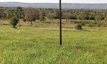 Imagem 5: Vendo 28 Héctares próximo capão verde . Mt