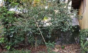 Imagem 7: AREA - VILA ASSUNÇÃO - SP