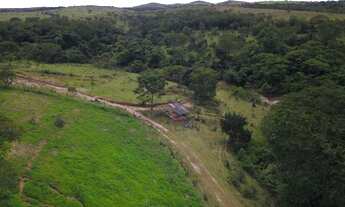 Imagem 7: Fazenda Girassol / Cocalzinho GO - 166Hec