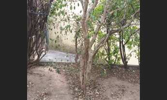 Imagem 6: Casa para venda possui 190 metros quadrados com 3 quartos em Tucuruvi - São Paulo - SP