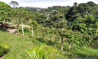 Imagem 6: CHACARA - CHÁCARAS SÃO BENTO - SP