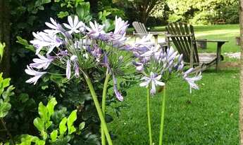 Imagem 4: Terreno, venda, 800m2, Jardim Guedala