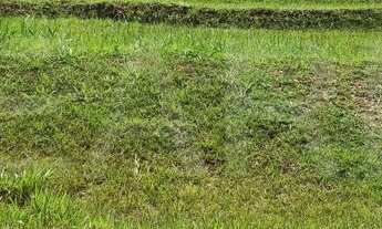 Imagem 2: TERRENO EM CONDOMÍNIO - ALPHAVILLE - SP