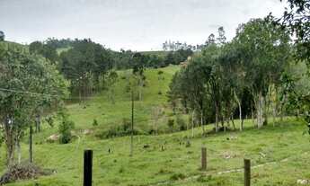 Imagem 3: Sede campestre do CDL de Taió, na localidade de Bracatinga - AREA INDUSTRIAL - Taió-SC