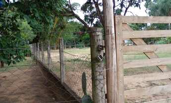 Imagem 6: Terreno 1000m2 (Real Dallas