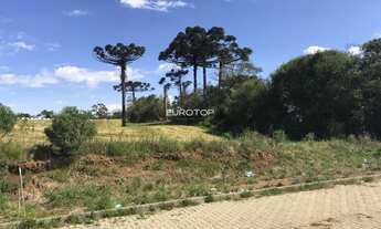 Imagem 4: Excelente terreno em um dos pontos mais altos de Garibaldi!