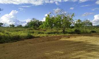 Imagem: Excelente área de terra a venda em Vitória