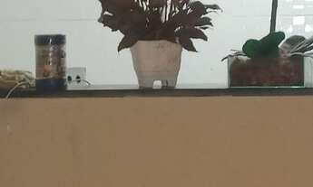 Imagem 6: Oportunidade, apto de 2 quartos pronto para morar