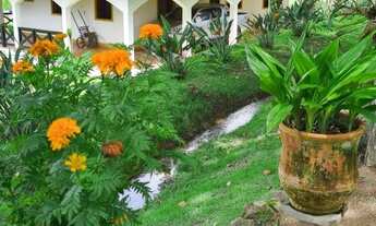 Imagem 2: Fazenda 11,7 hectares sede 4 quartos lagoa pomar Florestal/MG