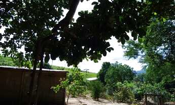 Imagem 5: SÍTIO EM ITAPINA APROVEITE