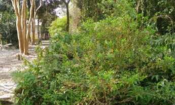 Imagem 3: Terreno com 241 m², aceita entrada e parcelas. Litoral sul