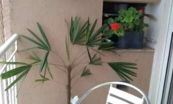 Imagem 2: Apartamento - Parque Villa Flores - Sumaré