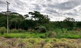 Imagem 3: Chacará 4.000m2 na Warta com Riacho no fundo