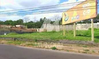 Imagem 3: Terreno (terreno normal