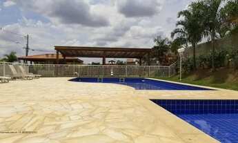 Imagem 5: Alugo Apartamento Nova Hortolândia