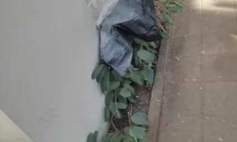 Imagem 5: Sobrado lindo 4 quartos 3 vagas 2 suites a 400 m da estação vila Sônia sala de está sal