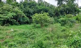 Imagem 3: Chácara em Caldazinha