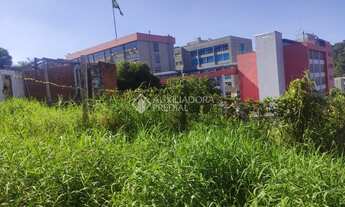 Imagem 4: NOVO HAMBURGO - Terreno Padrão - Vila Nova