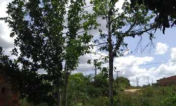 Imagem 6: Vende-se ou troca terreno em colônia estancinha, em estância