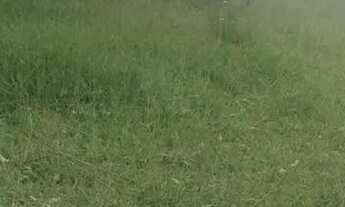 Imagem 7: Lote moradia no campo. lotes em Igaratá