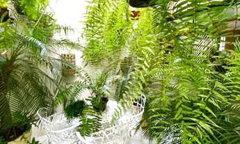 Imagem 7: Botucatu - Casa Padrão - VILA ASSUMPÇAO