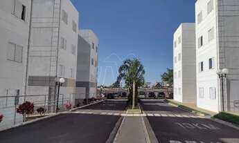Imagem 2: Locação de Apartamentos / Padrão na cidade de Araraquara