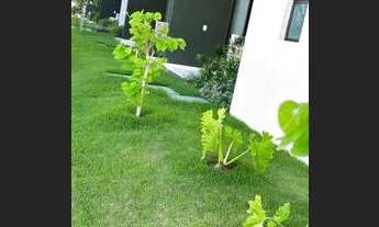 Imagem 4: CONDOMINIO MANA BEACH EXPERIENCE FLAT 1 QUARTO