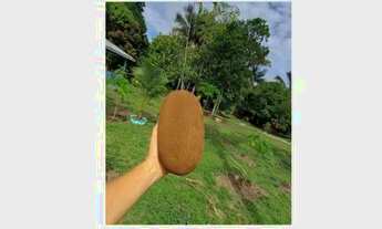 Imagem: Terreno com benfeitorias no Tarumã- 100